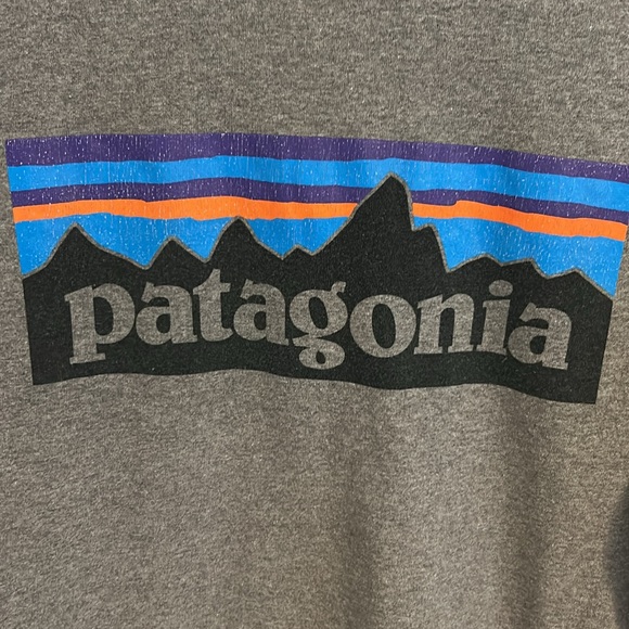 Patagonia Gray Long sleeve Classic Front and Back logo Shirt Size M - Picture 6 of 8